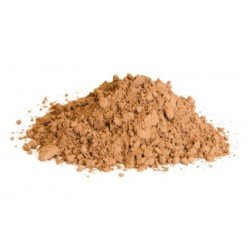 Grzyby Reishi