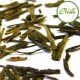 Sencha