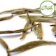 Silber Nadel Weisser Tee