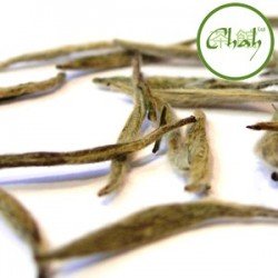 Biała herbata Silver Needle